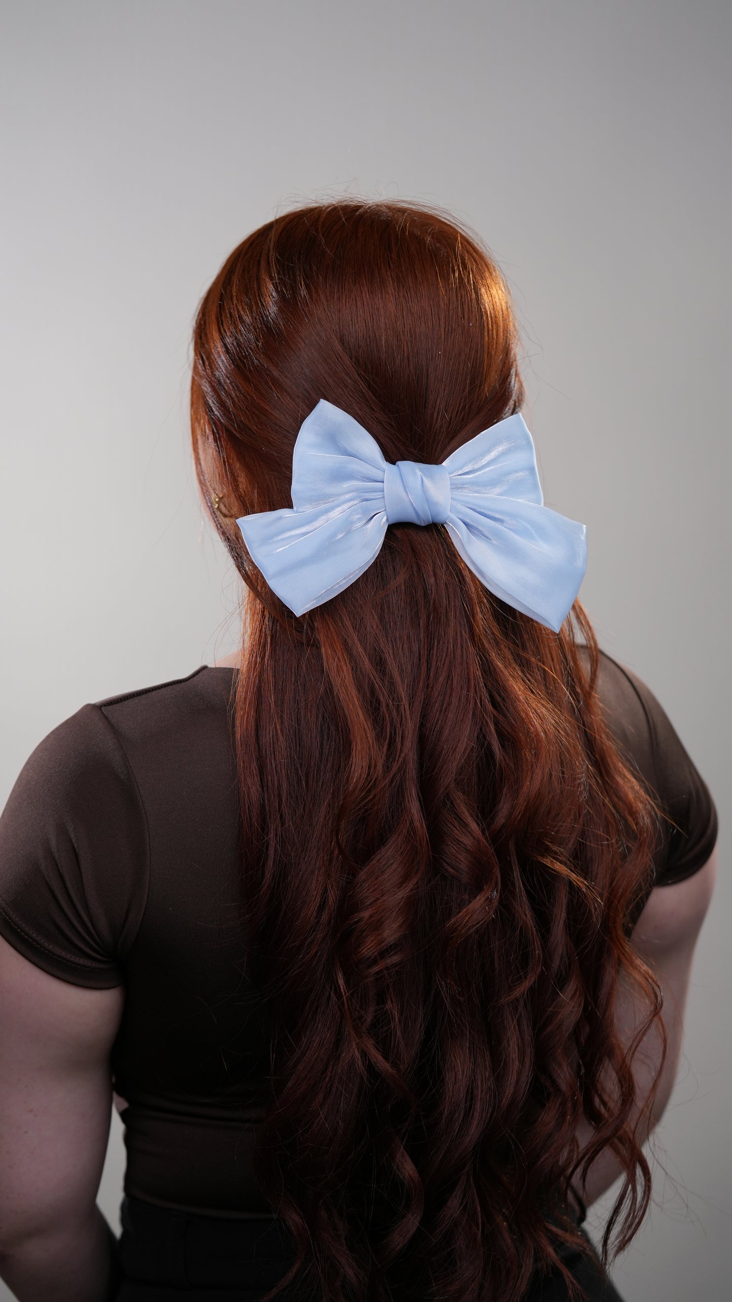 Moño Organza